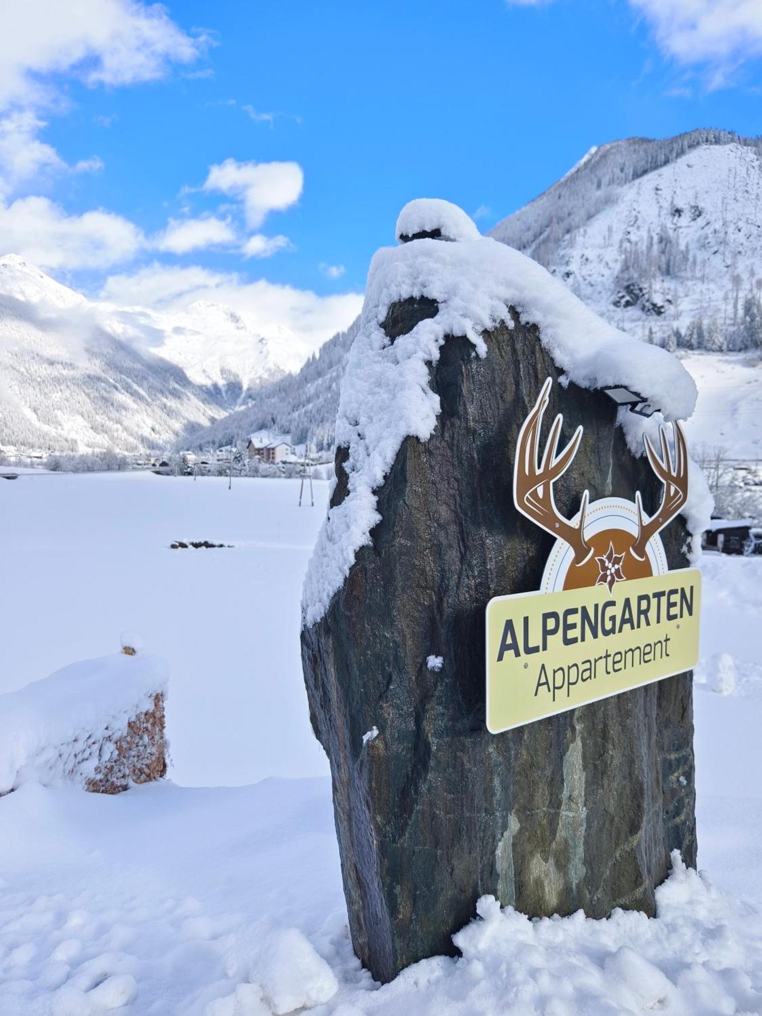 Appartements Alpengarten Mallnitz Eksteriør billede